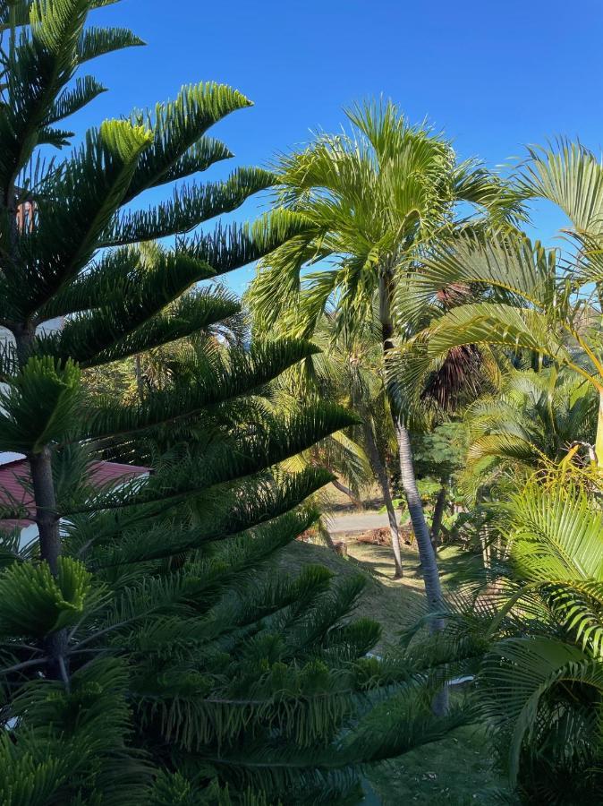Jardin Sur Mer Terre-De-Haut Buitenkant foto