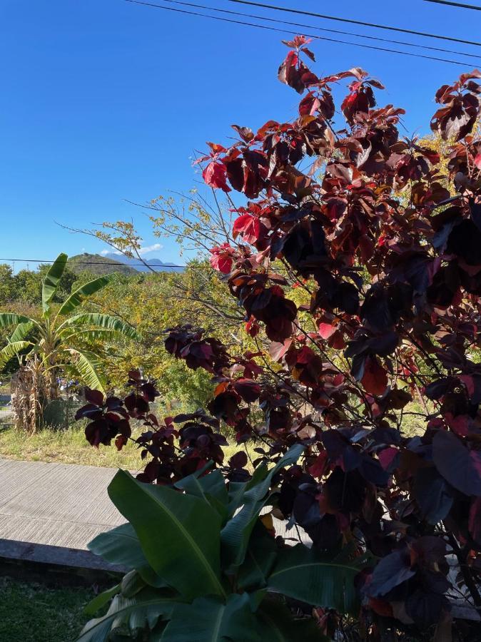 Jardin Sur Mer Terre-De-Haut Buitenkant foto