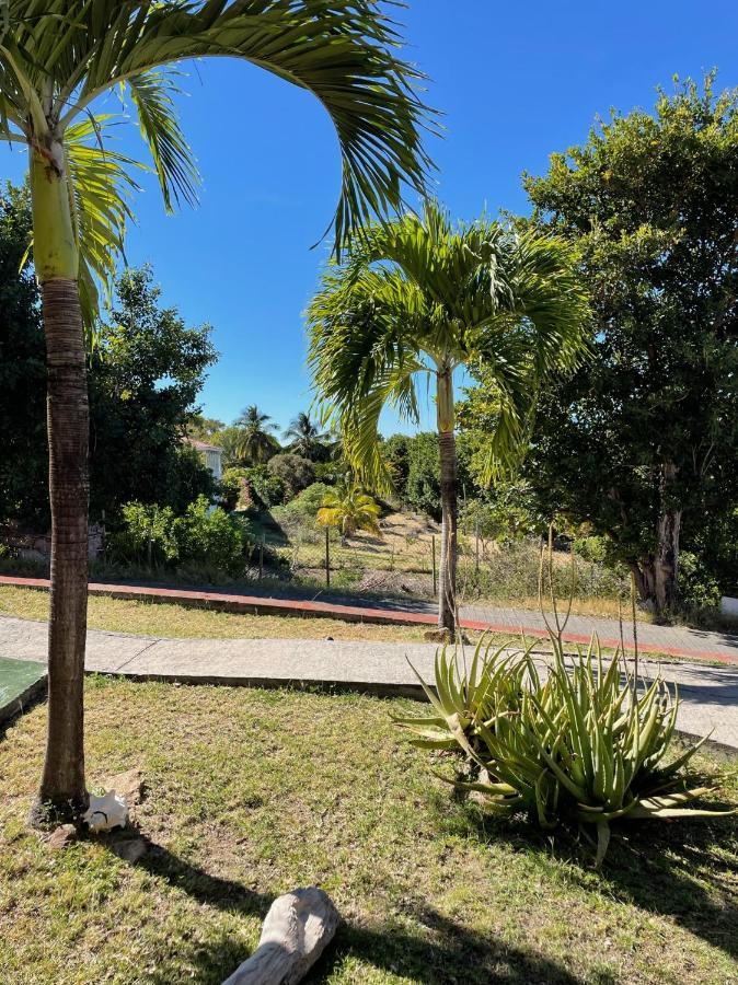 Jardin Sur Mer Terre-De-Haut Buitenkant foto