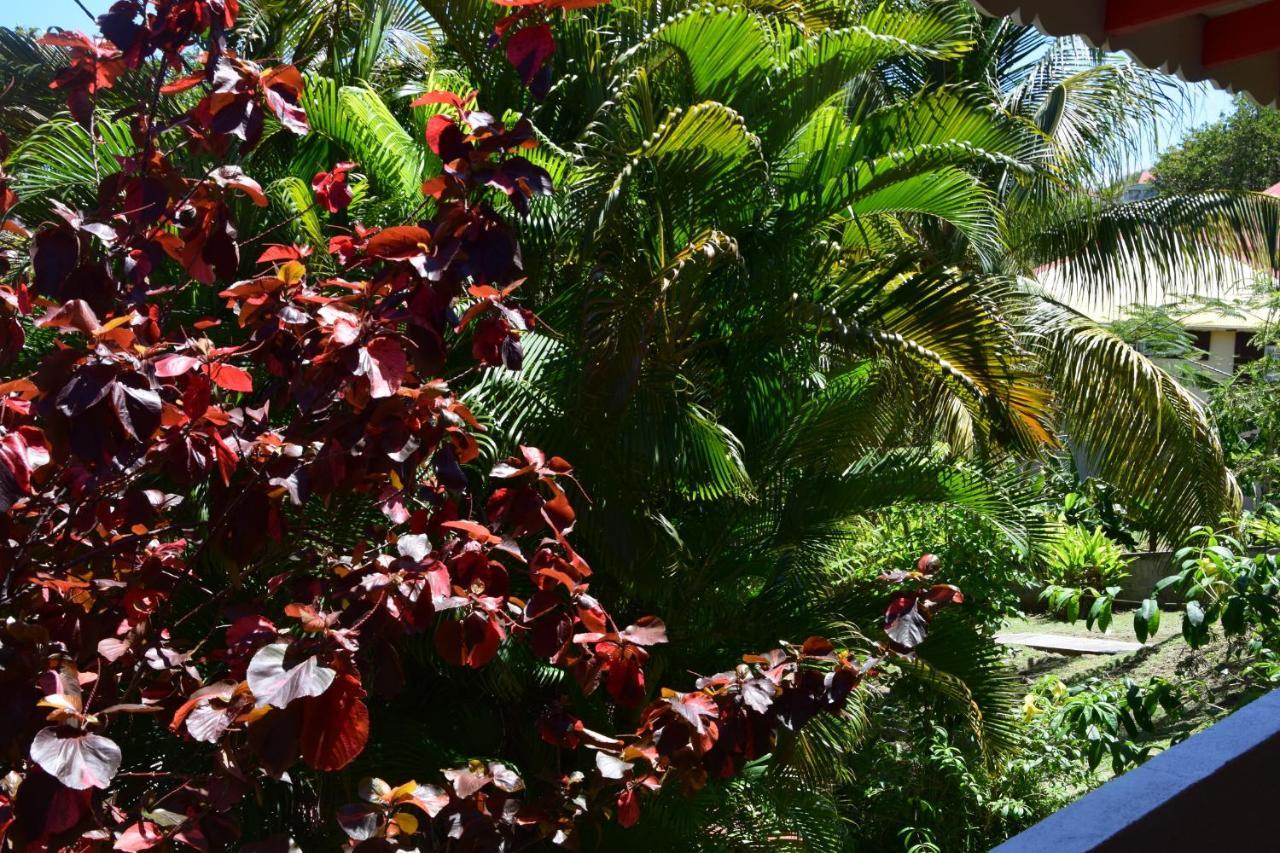 Jardin Sur Mer Terre-De-Haut Buitenkant foto
