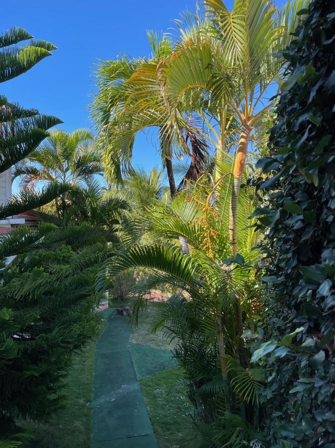 Jardin Sur Mer Terre-De-Haut Buitenkant foto