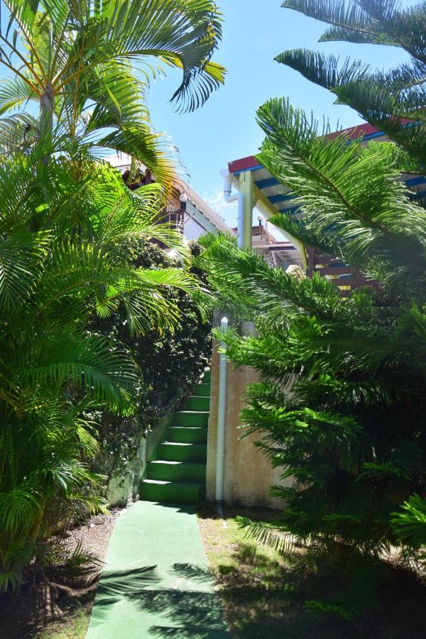 Jardin Sur Mer Terre-De-Haut Buitenkant foto