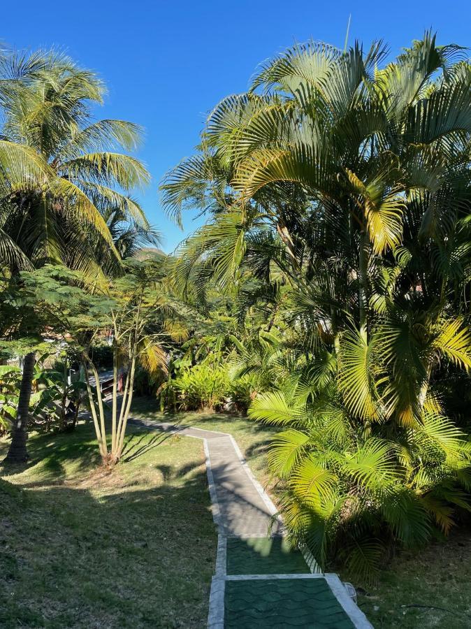 Jardin Sur Mer Terre-De-Haut Buitenkant foto