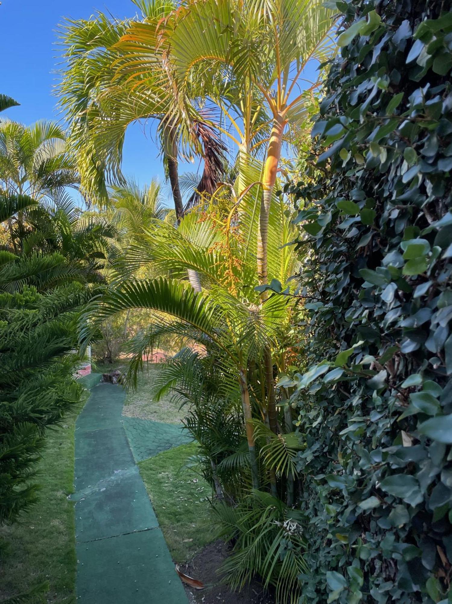 Jardin Sur Mer Terre-De-Haut Buitenkant foto